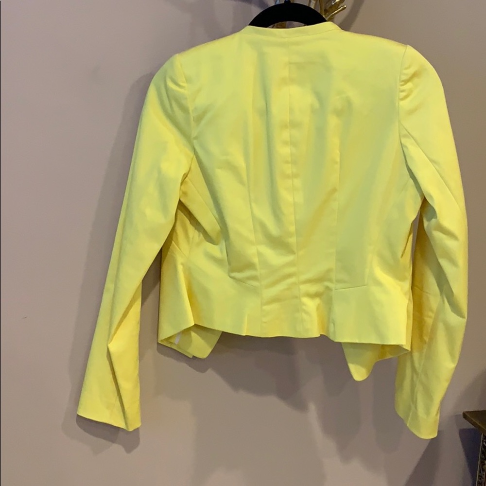 Yellow jacket - Picture 3 of 3